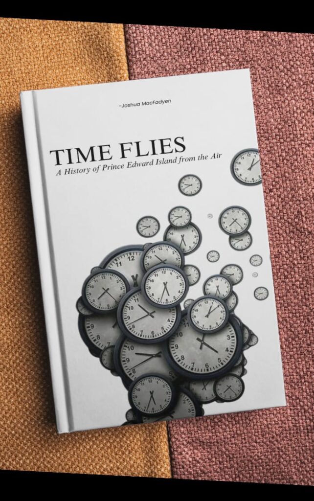 book cover (7)
